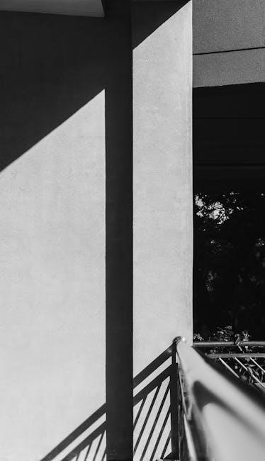 pexels-photo-34434122